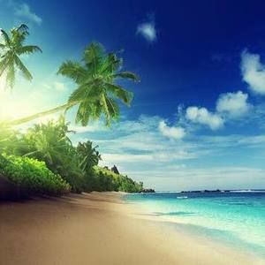 Meet your Posher, Reem